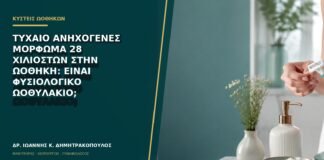 Τυχαίο ανηχογενές μόρφωμα 28 χιλιοστών στην ωοθήκη: είναι φυσιολογικό ωοθυλάκιο;