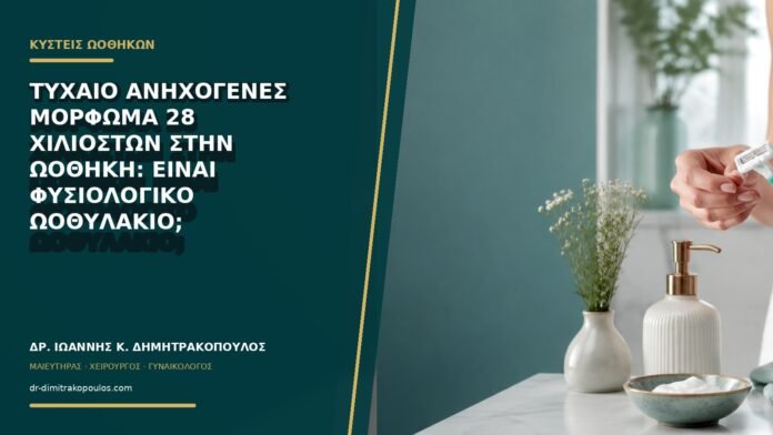 gynaikologikes-ypiresies-b72-11 Τυχαίο ανηχογενές μόρφωμα 28 χιλιοστών στην ωοθήκη: είναι φυσιολογικό ωοθυλάκιο;