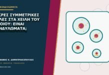 Μικρές συμμετρικές θηλές στα χείλη του αιδοίου: είναι κονδυλώματα; Μικρές συμμετρικές θηλές στα χείλη του αιδοίου: είναι κονδυλώματα;
