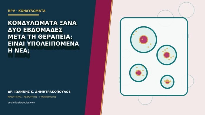 hpv-kondylomata-b80-25 Κονδυλώματα ξανά δύο εβδομάδες μετά τη θεραπεία: είναι υπολειπόμενα ή νέα;