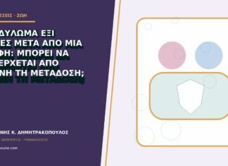 Κονδύλωμα έξι μήνες μετά από μία επαφή: μπορεί να προέρχεται από εκείνη τη μετάδοση;