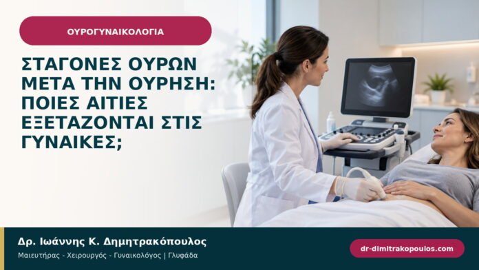 Σταγόνες ούρων μετά την ούρηση: ποιες αιτίες εξετάζονται στις γυναίκες; Σταγόνες ούρων μετά την ούρηση: ποιες αιτίες εξετάζονται στις γυναίκες;