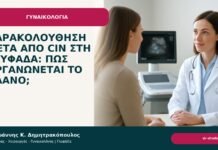 Παρακολούθηση μετά από CIN στη Γλυφάδα: πώς οργανώνεται το πλάνο; Παρακολούθηση μετά από CIN στη Γλυφάδα: πώς οργανώνεται το πλάνο; - Δρ. Ιωάννης Κ. Δημητρακόπουλος