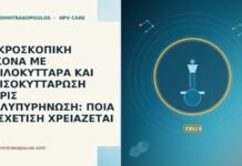 ΜΙΚΡΟΣΚΟΠΙΚΗ ΕΙΚΟΝΑ ΜΕ ΚΟΙΛΟΚΥΤΤΑΡΑ ΚΑΙ ΑΝΙΣΟΚΥΤΤΑΡΩΣΗ ΧΩΡΙΣ ΠΟΛΥΠΥΡΗΝΩΣΗ: ΠΟΙΑ ΣΥΣΧΕΤΙΣΗ