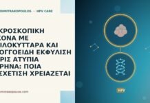 ΜΙΚΡΟΣΚΟΠΙΚΗ ΕΙΚΟΝΑ ΜΕ ΚΟΙΛΟΚΥΤΤΑΡΑ ΚΑΙ ΣΠΟΓΓΟΕΙΔΗ ΕΚΦΥΛΙΣΗ ΧΩΡΙΣ ΑΤΥΠΙΑ ΠΥΡΗΝΑ: