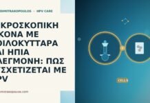 ΜΙΚΡΟΣΚΟΠΙΚΗ ΕΙΚΟΝΑ ΜΕ ΚΟΙΛΟΚΥΤΤΑΡΑ ΚΑΙ ΗΠΙΑ ΦΛΕΓΜΟΝΗ: ΠΩΣ ΣΥΣΧΕΤΙΖΕΤΑΙ ΜΕ