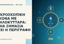 ΜΙΚΡΟΣΚΟΠΙΚΗ ΕΙΚΟΝΑ ΜΕ ΚΟΙΛΟΚΥΤΤΑΡΑ: ΠΟΙΑ ΣΗΜΑΣΙΑ ΕΧΕΙ Η ΠΕΡΙΓΡΑΦΗ ΜΙΚΡΟΣΚΟΠΙΚΗ ΕΙΚΟΝΑ ΜΕ ΚΟΙΛΟΚΥΤΤΑΡΑ: ΠΟΙΑ ΣΗΜΑΣΙΑ ΕΧΕΙ Η ΠΕΡΙΓΡΑΦΗ