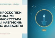 ΜΙΚΡΟΣΚΟΠΙΚΗ ΕΙΚΟΝΑ ΜΕ ΚΟΙΛΟΚΥΤΤΑΡΑ ΚΑΙ ΦΛΕΓΜΟΝΗ: ΠΩΣ ΔΙΑΒΑΖΕΤΑΙ ΜΙΚΡΟΣΚΟΠΙΚΗ ΕΙΚΟΝΑ ΜΕ ΚΟΙΛΟΚΥΤΤΑΡΑ ΚΑΙ ΦΛΕΓΜΟΝΗ: ΠΩΣ ΔΙΑΒΑΖΕΤΑΙ