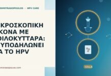 ΜΙΚΡΟΣΚΟΠΙΚΗ ΕΙΚΟΝΑ ΜΕ ΚΟΙΛΟΚΥΤΤΑΡΑ: ΤΙ ΥΠΟΔΗΛΩΝΕΙ ΓΙΑ ΤΟ HPV ΜΙΚΡΟΣΚΟΠΙΚΗ ΕΙΚΟΝΑ ΜΕ ΚΟΙΛΟΚΥΤΤΑΡΑ: ΤΙ ΥΠΟΔΗΛΩΝΕΙ ΓΙΑ ΤΟ HPV