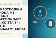 ΜΙΚΡΟΣΚΟΠΙΚΗ ΕΙΚΟΝΑ ΜΕ ΠΥΚΝΟ ΦΛΕΓΜΟΝΩΔΕΣ ΥΛΙΚΟ ΣΤΑ 54: ΠΟΤΕ ΞΑΝΑΛΑΜΒΑΝΕΤΑΙ