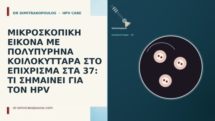 ΜΙΚΡΟΣΚΟΠΙΚΗ ΕΙΚΟΝΑ ΜΕ ΠΟΛΥΠΥΡΗΝΑ ΚΟΙΛΟΚΥΤΤΑΡΑ ΣΤΟ ΕΠΙΧΡΙΣΜΑ ΣΤΑ 37: ΤΙ