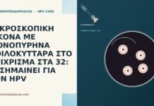 ΜΙΚΡΟΣΚΟΠΙΚΗ ΕΙΚΟΝΑ ΜΕ ΜΟΝΟΠΥΡΗΝΑ ΚΟΙΛΟΚΥΤΤΑΡΑ ΣΤΟ ΕΠΙΧΡΙΣΜΑ ΣΤΑ 32: ΤΙ