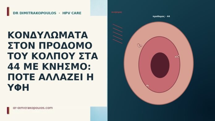 ΚΟΝΔΥΛΩΜΑΤΑ ΣΤΟΝ ΠΡΟΔΟΜΟ ΤΟΥ ΚΟΛΠΟΥ ΣΤΑ 44 ΜΕ ΚΝΗΣΜΟ: ΠΟΤΕ