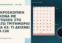 ΜΙΚΡΟΣΚΟΠΙΚΗ ΕΙΚΟΝΑ ΜΕ ΜΙΤΩΣΕΙΣ ΣΤΟ ΚΑΤΩ ΤΡΙΤΗΜΟΡΙΟ ΣΤΑ 43: ΤΙ
