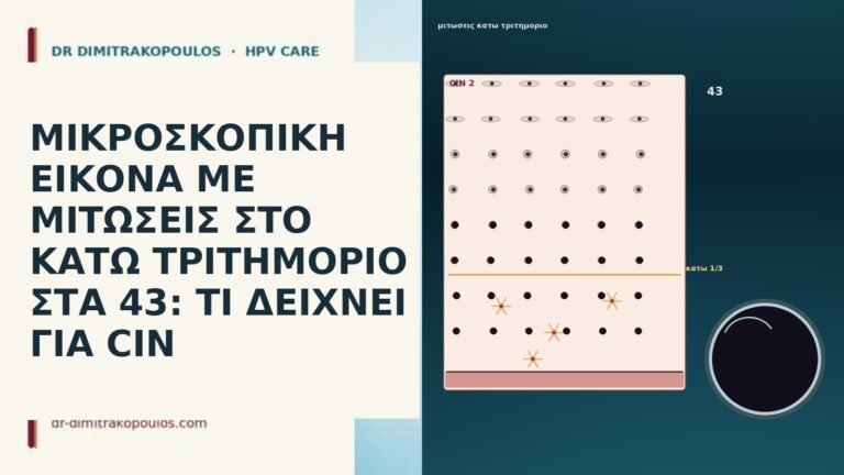 ΜΙΚΡΟΣΚΟΠΙΚΗ ΕΙΚΟΝΑ ΜΕ ΜΙΤΩΣΕΙΣ ΣΤΟ ΚΑΤΩ ΤΡΙΤΗΜΟΡΙΟ ΣΤΑ 43: ΤΙ