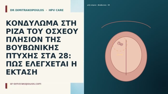 ΚΟΝΔΥΛΩΜΑ ΣΤΗ ΡΙΖΑ ΤΟΥ ΟΣΧΕΟΥ ΠΛΗΣΙΟΝ ΤΗΣ ΒΟΥΒΩΝΙΚΗΣ ΠΤΥΧΗΣ ΣΤΑ