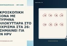 ΜΙΚΡΟΣΚΟΠΙΚΗ ΕΙΚΟΝΑ ΜΕ ΔΙΠΥΡΗΝΑ ΚΟΙΛΟΚΥΤΤΑΡΑ ΣΤΟ ΕΠΙΧΡΙΣΜΑ ΣΤΑ 26: ΤΙ