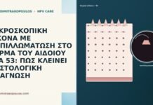 ΜΙΚΡΟΣΚΟΠΙΚΗ ΕΙΚΟΝΑ ΜΕ ΠΑΠΙΛΛΩΜΑΤΩΣΗ ΣΤΟ ΔΕΡΜΑ ΤΟΥ ΑΙΔΟΙΟΥ ΣΤΑ 53: