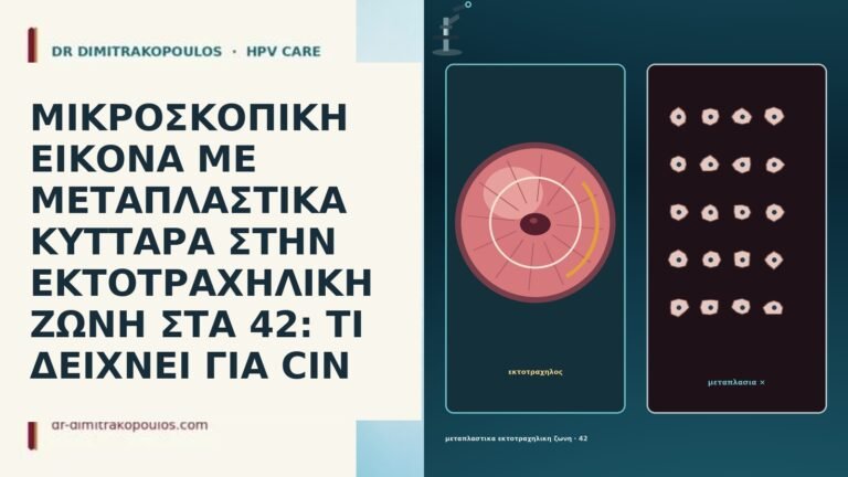 ΜΙΚΡΟΣΚΟΠΙΚΗ ΕΙΚΟΝΑ ΜΕ ΜΕΤΑΠΛΑΣΤΙΚΑ ΚΥΤΤΑΡΑ ΣΤΗΝ ΕΚΤΟΤΡΑΧΗΛΙΚΗ ΖΩΝΗ ΣΤΑ 42: