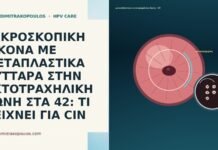 ΜΙΚΡΟΣΚΟΠΙΚΗ ΕΙΚΟΝΑ ΜΕ ΜΕΤΑΠΛΑΣΤΙΚΑ ΚΥΤΤΑΡΑ ΣΤΗΝ ΕΚΤΟΤΡΑΧΗΛΙΚΗ ΖΩΝΗ ΣΤΑ 42:
