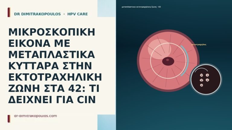 ΜΙΚΡΟΣΚΟΠΙΚΗ ΕΙΚΟΝΑ ΜΕ ΜΕΤΑΠΛΑΣΤΙΚΑ ΚΥΤΤΑΡΑ ΣΤΗΝ ΕΚΤΟΤΡΑΧΗΛΙΚΗ ΖΩΝΗ ΣΤΑ 42: