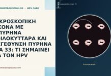 ΜΙΚΡΟΣΚΟΠΙΚΗ ΕΙΚΟΝΑ ΜΕ ΔΙΠΥΡΗΝΑ ΚΟΙΛΟΚΥΤΤΑΡΑ ΚΑΙ ΜΕΓΕΘΥΝΣΗ ΠΥΡΗΝΑ ΣΤΑ 33: