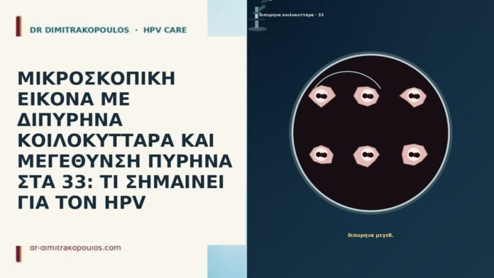 ΜΙΚΡΟΣΚΟΠΙΚΗ ΕΙΚΟΝΑ ΜΕ ΔΙΠΥΡΗΝΑ ΚΟΙΛΟΚΥΤΤΑΡΑ ΚΑΙ ΜΕΓΕΘΥΝΣΗ ΠΥΡΗΝΑ ΣΤΑ 33: