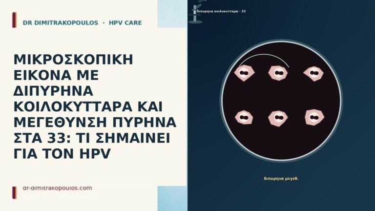ΜΙΚΡΟΣΚΟΠΙΚΗ ΕΙΚΟΝΑ ΜΕ ΔΙΠΥΡΗΝΑ ΚΟΙΛΟΚΥΤΤΑΡΑ ΚΑΙ ΜΕΓΕΘΥΝΣΗ ΠΥΡΗΝΑ ΣΤΑ 33: