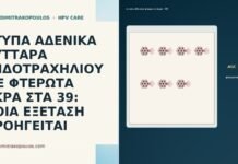 ΑΤΥΠΑ ΑΔΕΝΙΚΑ ΚΥΤΤΑΡΑ ΕΝΔΟΤΡΑΧΗΛΙΟΥ ΜΕ ΦΤΕΡΩΤΑ ΑΚΡΑ ΣΤΑ 39: ΠΟΙΑ