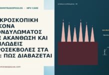 ΜΙΚΡΟΣΚΟΠΙΚΗ ΕΙΚΟΝΑ ΚΟΝΔΥΛΩΜΑΤΟΣ ΜΕ ΑΚΑΝΘΩΣΗ ΚΑΙ ΘΗΛΩΔΕΙΣ ΠΡΟΣΕΚΒΟΛΕΣ ΣΤΑ 26: ΠΩΣ ΔΙΑΒΑΖΕΤΑΙ ΜΙΚΡΟΣΚΟΠΙΚΗ ΕΙΚΟΝΑ ΚΟΝΔΥΛΩΜΑΤΟΣ ΜΕ ΑΚΑΝΘΩΣΗ ΚΑΙ ΘΗΛΩΔΕΙΣ ΠΡΟΣΕΚΒΟΛΕΣ ΣΤΑ 26: