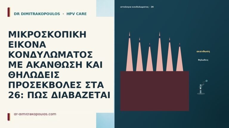 ΜΙΚΡΟΣΚΟΠΙΚΗ ΕΙΚΟΝΑ ΚΟΝΔΥΛΩΜΑΤΟΣ ΜΕ ΑΚΑΝΘΩΣΗ ΚΑΙ ΘΗΛΩΔΕΙΣ ΠΡΟΣΕΚΒΟΛΕΣ ΣΤΑ 26: