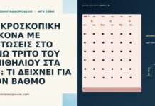 ΜΙΚΡΟΣΚΟΠΙΚΗ ΕΙΚΟΝΑ ΜΕ ΜΙΤΩΣΕΙΣ ΣΤΟ ΑΝΩ ΤΡΙΤΟ ΤΟΥ ΕΠΙΘΗΛΙΟΥ ΣΤΑ 34: ΤΙ ΔΕΙΧΝΕΙ ΓΙΑ ΤΟΝ ΒΑΘΜΟ ΜΙΚΡΟΣΚΟΠΙΚΗ ΕΙΚΟΝΑ ΜΕ ΜΙΤΩΣΕΙΣ ΣΤΟ ΑΝΩ ΤΡΙΤΟ ΤΟΥ ΕΠΙΘΗΛΙΟΥ ΣΤΑ