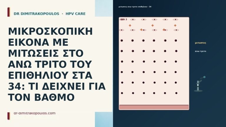ΜΙΚΡΟΣΚΟΠΙΚΗ ΕΙΚΟΝΑ ΜΕ ΜΙΤΩΣΕΙΣ ΣΤΟ ΑΝΩ ΤΡΙΤΟ ΤΟΥ ΕΠΙΘΗΛΙΟΥ ΣΤΑ