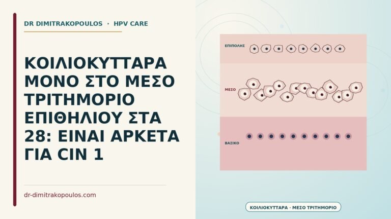 κοιλιοκύτταρα στο μέσο τριτημόριο