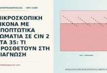 αποπτωτικά σωμάτια σε CIN 2