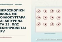 κοιλοκύτταρα με διπύρηνα