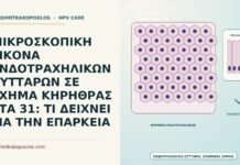 μικροσκοπική εικόνα ενδοτραχηλικών κυττάρων σε σχήμα κηρήθρας