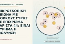 μικροσκοπική εικόνα με κόκκους γύρης