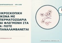 ΜΙΚΡΟΣΚΟΠΙΚΗ ΕΙΚΟΝΑ ΜΕ ΣΠΕΡΜΑΤΟΖΩΑΡΙΑ ΚΑΙ ΦΛΕΓΜΟΝΗ ΣΤΑ 24: ΠΟΤΕ ΕΠΑΝΑΛΑΜΒΑΝΕΤΑΙ μικροσκοπική εικόνα με σπερματοζωάρια