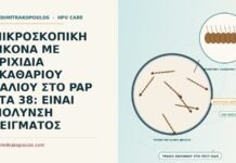 τριχίδια σκαθαριού χαλιού στο Παπ