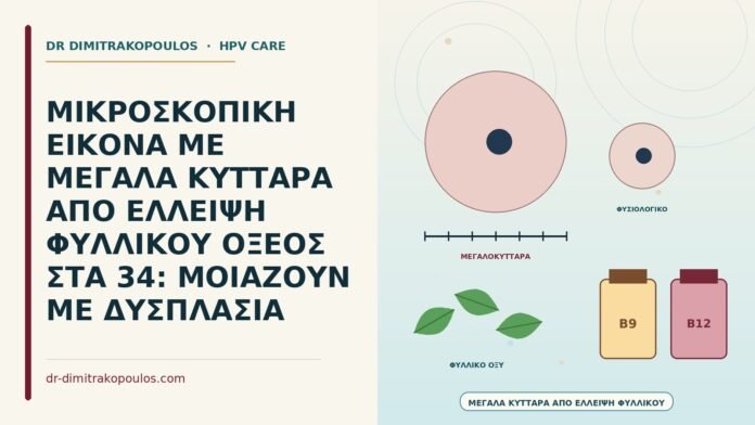 ΜΙΚΡΟΣΚΟΠΙΚΗ ΕΙΚΟΝΑ ΜΕ ΜΕΓΑΛΑ ΚΥΤΤΑΡΑ ΑΠΟ ΕΛΛΕΙΨΗ ΦΥΛΛΙΚΟΥ ΟΞΕΟΣ ΣΤΑ 34: ΜΟΙΑΖΟΥΝ ΜΕ ΔΥΣΠΛΑΣΙΑ μεγάλα κύτταρα από έλλειψη φυλλικού οξέος