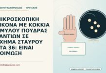 κόκκια αμύλου πούδρας γαντιών σε σχήμα σταυρού
