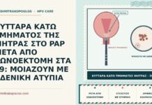 ΚΥΤΤΑΡΑ ΚΑΤΩ ΤΜΗΜΑΤΟΣ ΤΗΣ ΜΗΤΡΑΣ ΣΤΟ PAP ΜΕΤΑ ΑΠΟ ΚΩΝΟΕΚΤΟΜΗ ΣΤΑ 39: ΜΟΙΑΖΟΥΝ ΜΕ ΑΔΕΝΙΚΗ ΑΤΥΠΙΑ κύτταρα κατώτερου τμήματος της μήτρας