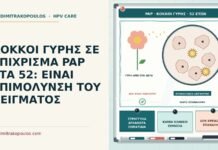 κόκκοι γύρης στο Παπ