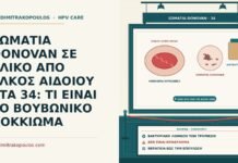 ΣΩΜΑΤΙΑ DONOVAN ΣΕ ΥΛΙΚΟ ΑΠΟ ΕΛΚΟΣ ΑΙΔΟΙΟΥ ΣΤΑ 34: ΤΙ ΕΙΝΑΙ ΤΟ ΒΟΥΒΩΝΙΚΟ ΚΟΚΚΙΩΜΑ σωμάτια Donovan