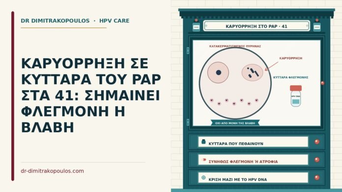 ΚΑΡΥΟΡΡΗΞΗ ΣΕ ΚΥΤΤΑΡΑ ΤΟΥ PAP ΣΤΑ 41: ΣΗΜΑΙΝΕΙ ΦΛΕΓΜΟΝΗ Η ΒΛΑΒΗ καρυόρρηξη στο Παπ