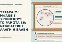 κύτταρα με εμφανείς πυρηνίσκους