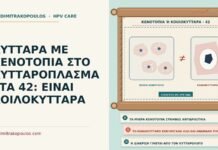 κύτταρα με κενοτόπια στο κυτταρόπλασμα