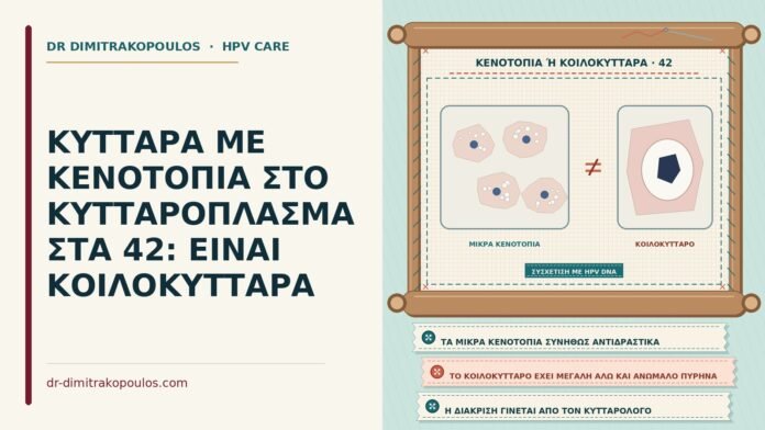 ΚΥΤΤΑΡΑ ΜΕ ΚΕΝΟΤΟΠΙΑ ΣΤΟ ΚΥΤΤΑΡΟΠΛΑΣΜΑ ΣΤΑ 42: ΕΙΝΑΙ ΚΟΙΛΟΚΥΤΤΑΡΑ κύτταρα με κενοτόπια στο κυτταρόπλασμα