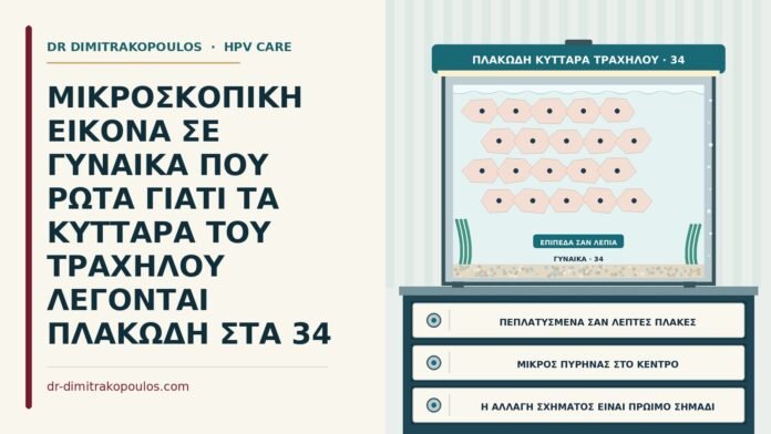 ΜΙΚΡΟΣΚΟΠΙΚΗ ΕΙΚΟΝΑ ΣΕ ΓΥΝΑΙΚΑ ΠΟΥ ΡΩΤΑ ΓΙΑΤΙ ΤΑ ΚΥΤΤΑΡΑ ΤΟΥ ΤΡΑΧΗΛΟΥ ΛΕΓΟΝΤΑΙ ΠΛΑΚΩΔΗ ΣΤΑ 34 γιατί τα κύτταρα λέγονται πλακώδη